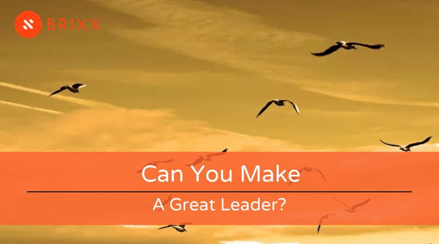 Can you make a great leader? blog post header image of a flock of birds for Brixx cash flow forecasting tool